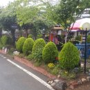 바다로가는길목 펜션 이미지