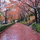 석천 - 양산시 물금읍 | 석천