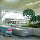 국제할인마트 | 베트남 다낭, 그랩(Grab)사용법! 공항 픽업 예약 &amp; 음식 배달 할인 트래블패스 후기!