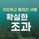 물참 | 서해 스킨해루질 후기｜물은 차가웠지만 시야 좋았던 참소라 조과