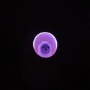 펫 가디언 이미지