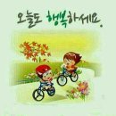 팀로드