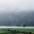 남하대야리 이미지