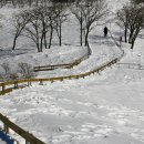 지혜목장 이미지