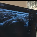 김진수프롤로의원 이미지