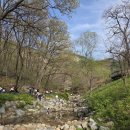 정원카페 | 노원구 불암산 나비정원 카페 포레스트 후기