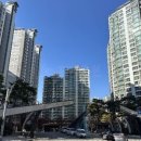 강남-277 이미지