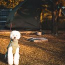 태란 펜션 이미지