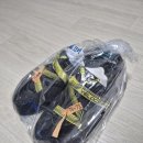 암벽화 크린토피아 세탁 후기