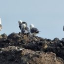 비우고 채우고 이미지