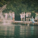 돌고래 PC 이미지