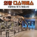 11260-1-18-34 | 의왕 대형 키즈카페 디스커버스 ㅣ 의왕 아기랑 가볼만한곳 34개월 아기와 평일이용후기