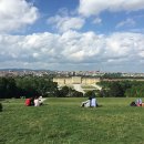 ㈜노랑풍선 이미지