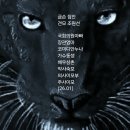 금손약사