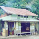 유기농라이프 이미지