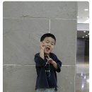 마인샷찌