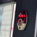 만득이네 꽃삼겹 | [20240408~14] : 또다시 부산에서 즐기는 음주일기!