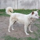 검산 농장 이미지