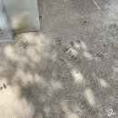 풀베개 제주 서귀포 카페 <b>풀</b><b>베개</b>