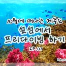 난바다프리다이브