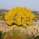 은행광장 이미지