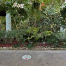 경주동궁원 이미지