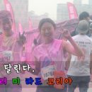 컬러코리아