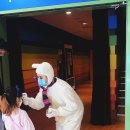 샬롯의 거미줄 뮤지컬 이미지