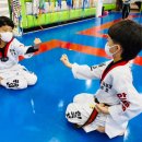 한국체대 비호태권도 이미지