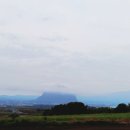 상모리-25 이미지