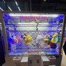 비전동 소로 2-52 | 평택 실내 놀거리 추천 핑크타이거 평택 비전동