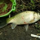 왕숙천 자전거도로6 이미지