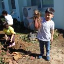 월항초등학교병설유치원 이미지