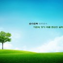 카야텍스 이미지