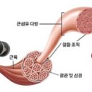 교대필라테스필라조이