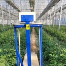 지인스마트팜 이미지