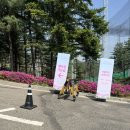 구름위의 산책 | 2026년 워커힐 스프링 와인페어_구름위의산책 후기 (가격/경품/푸드/셔틀 총정리)