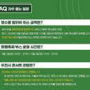 2025 세종 동행축제 영수증콘서트 민지운 하진 정승원 경서 후기