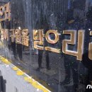 계란 범벅된 TCS 국제학교 근황 이미지