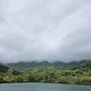 [100대명산] 겹벚꽃, 청벚꽃, 그리고 바다. 서산 가야산 등산 후기 (남연군묘 ~ 개심사 코스)