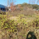 권철농장 이미지