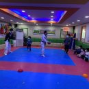 용인대 도곡 태권도장 이미지