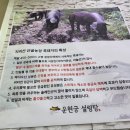 운현궁설렁탕