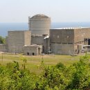 거북발전소 이미지