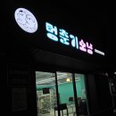 송이캣 | 의정부 24시 무인애견용품점 멍춘기소냥 의정부본점 후기