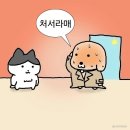 영스카이 이미지