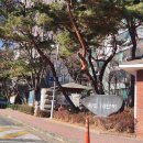 16단지 인근 네이버블로그