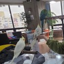 버드소리 대구수성점 이미지