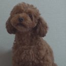 정솔농장 이미지