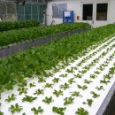 광형농장 이미지